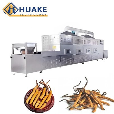 Secador de túnel de microondas